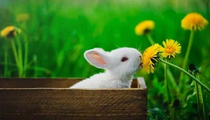 模特一般身高要多少